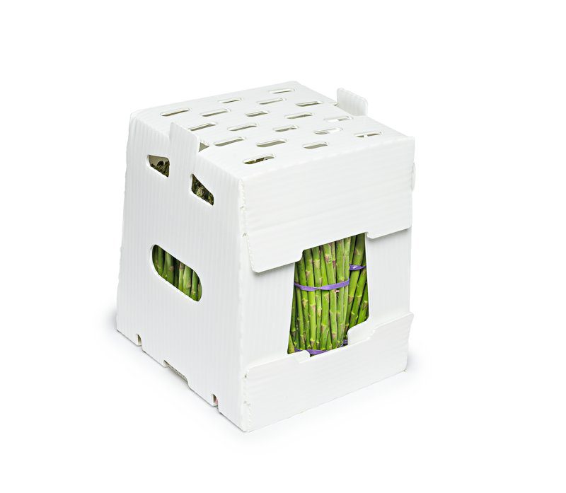 Agriculture Packaging